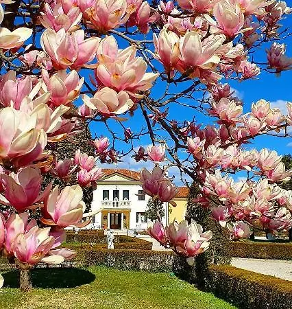 Country house Serena Montebelluna